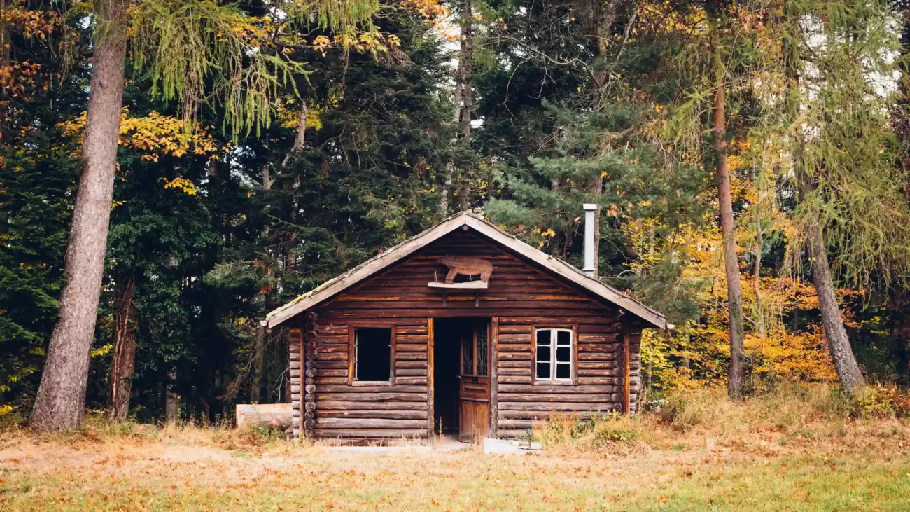 chalet en bois habitable