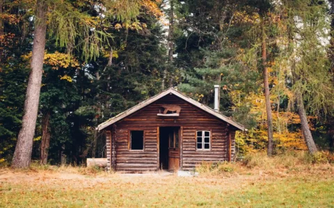 chalet en bois habitable